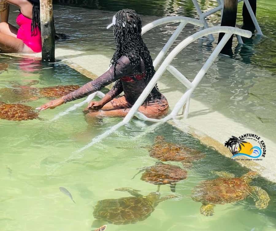 Nungwi: Swimming with Turtles at The Lagoons Zanzibar - Arriving at the four lagoons