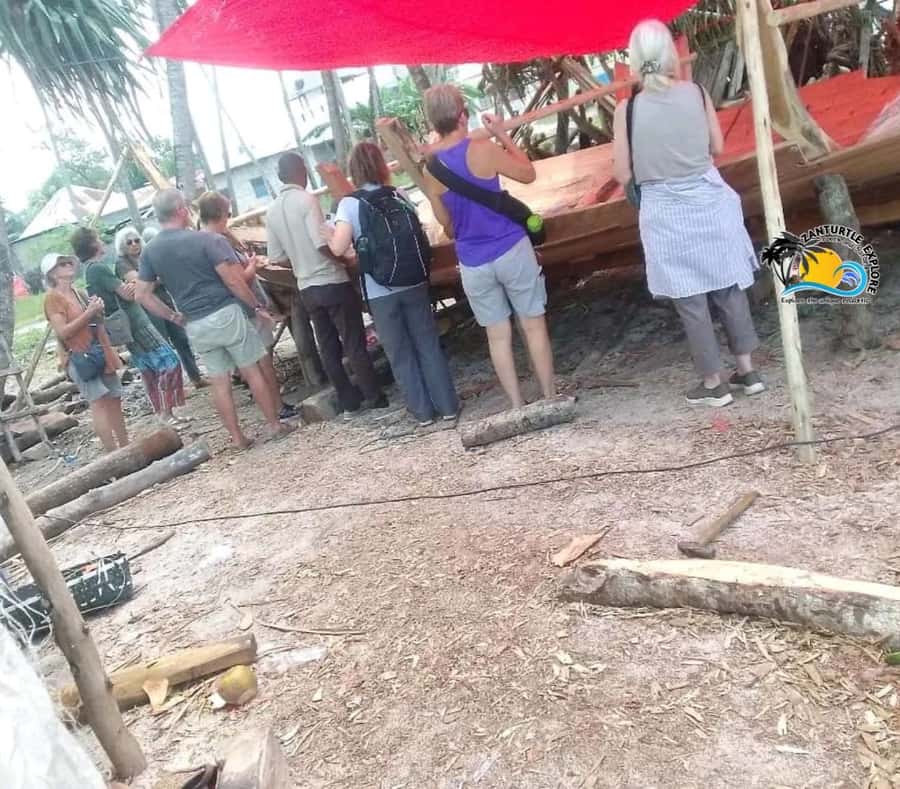 Nungwi Village Tour & Swim with Turtles at Mnarani Aquarium - Who will enjoy this Nungwi outing?