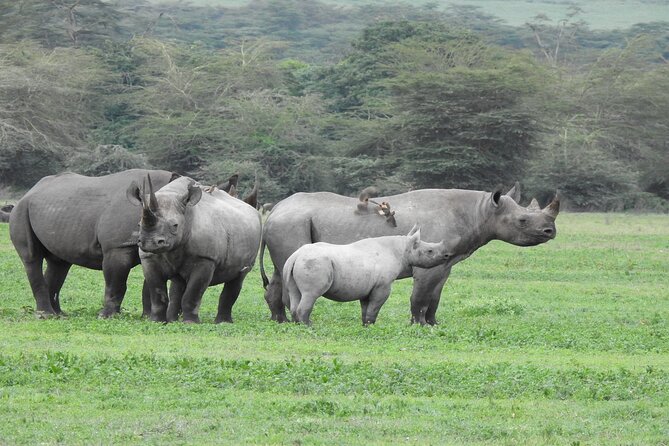 Off the Beaten Track Safari in Arusha Tanzania - Why the guides matter on a safari like this