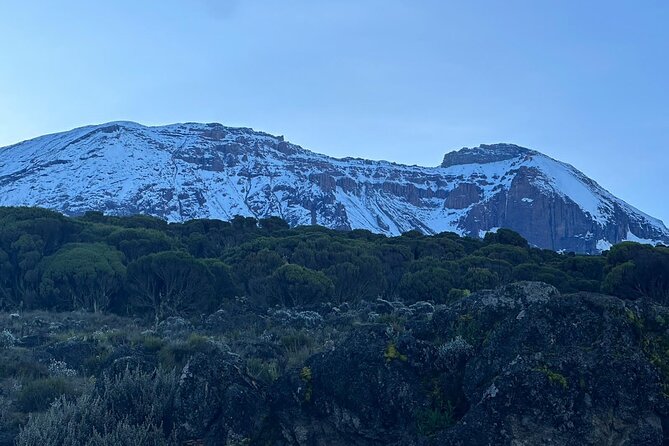 One Kilimanjaro Day hike Tour ISMANI TOURS AND SAFARIS - Key points to know before you book