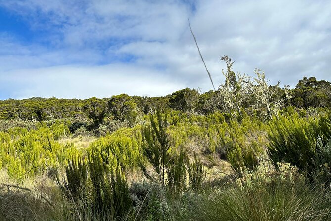 One Kilimanjaro Day hike Tour ISMANI TOURS AND SAFARIS - Maundi Crater and the mountain views