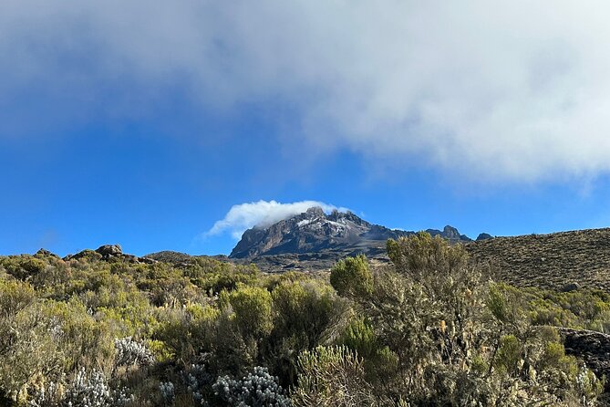 One Kilimanjaro Day hike Tour ISMANI TOURS AND SAFARIS - Guides can make or break the day