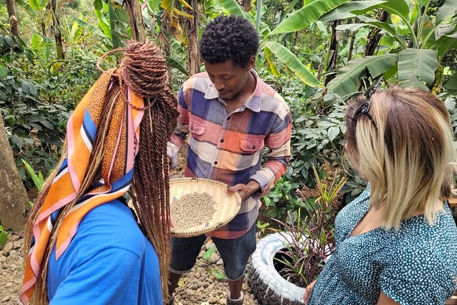 Organic Coffee Tour and Local Food Experience in Arusha - Transport is the detail to settle first
