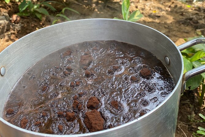 Organic Coffee Tour and Local Food Experience in Arusha - Who will get the most from this farm visit