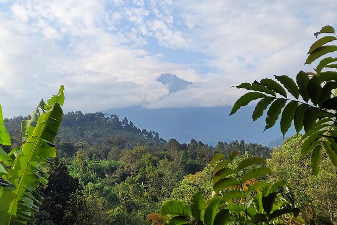 Organic Coffee Tour and Local Food Experience in Arusha - Lunch cooked by local mamas