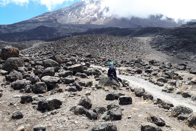 Our Top 5-Day Kilimanjaro Marangu Route: 2025 and 2026 Updates - Day four: Uhuru Peak and the long return to Horombo