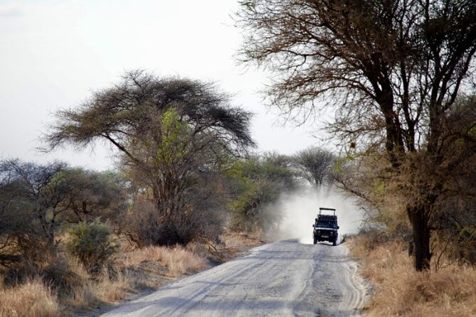 Outstanding day trip to Tarangire National Park - The 6:00 am departure from Arusha