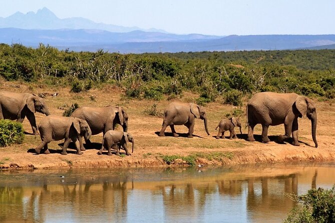 Outstanding day trip to Tarangire National Park - A small group of up to six