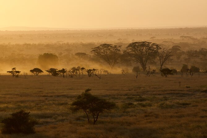 Outstanding day trip to Tarangire National Park - Booking, weather, and cancellation details