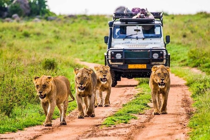 Outstanding day trip to Tarangire National Park - Entering Tarangire National Park