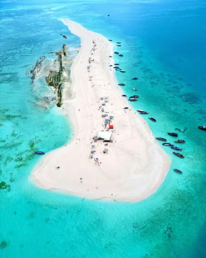 Prison island and nakupenda beach sandbank - Starting from your hotel in Zanzibar