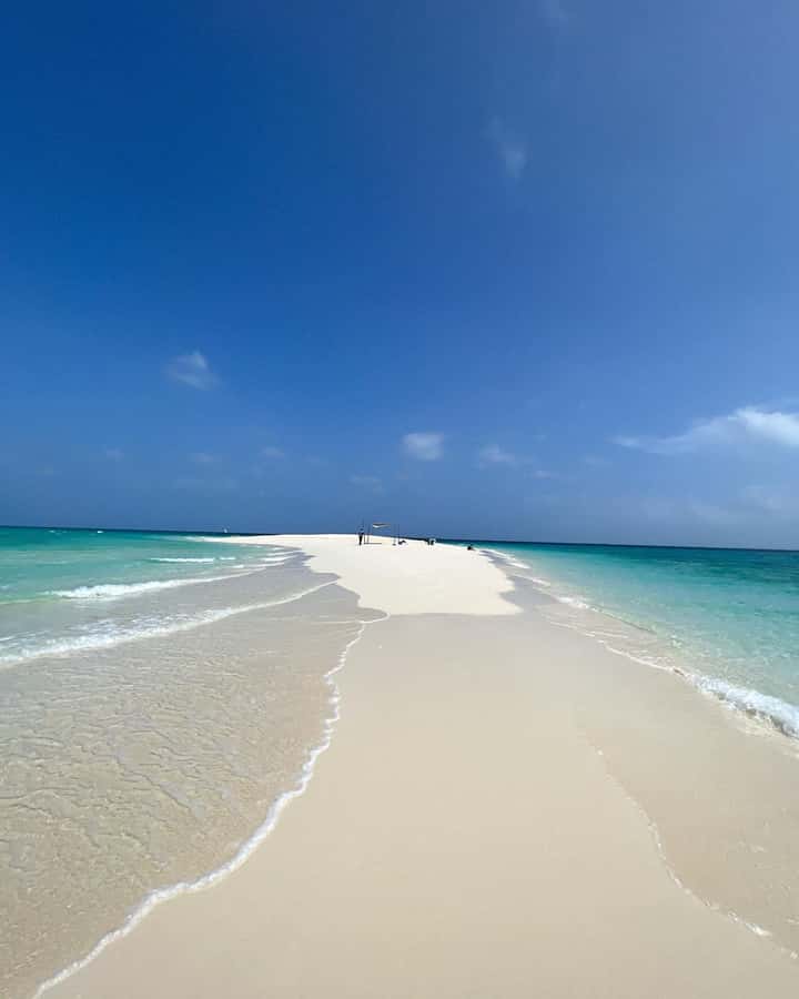 Prison island and nakupenda beach sandbank - Who should book this Zanzibar outing?