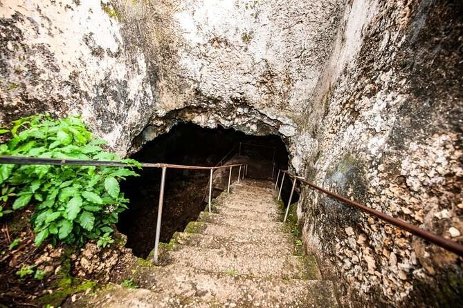 Prison island(Changuu island) & stone town walking tour - Food, spices, and Persian baths