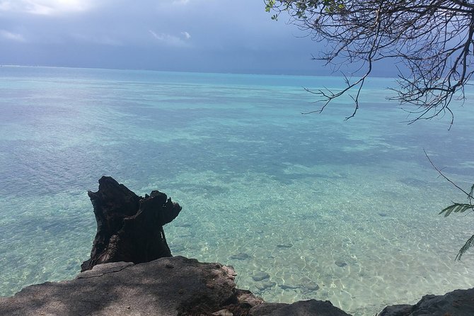 Prison Island Half-Day Tour from Zanzibar - The island’s difficult past