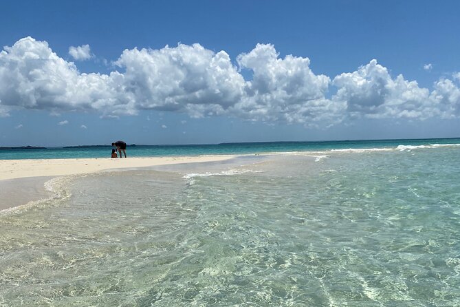 Prison Island + Nakupenda Tour - What the $140 price really covers