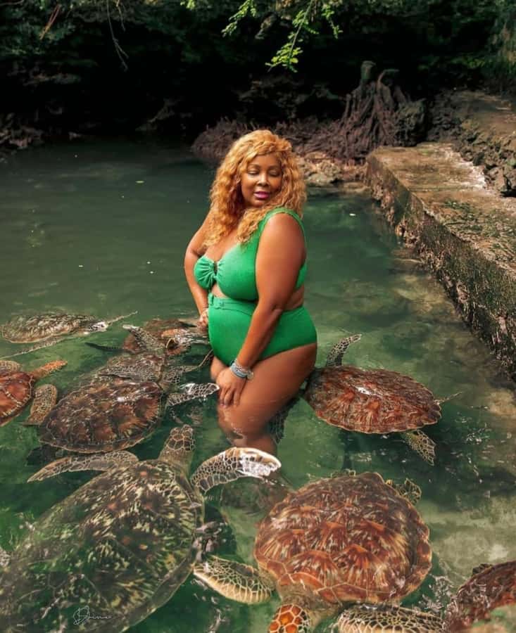 Prison Island, Sea Turtles, Rock Restaurant & Relax in Beach - Key points at a glance