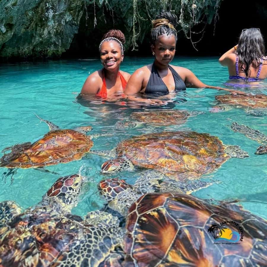 Prison Island, Sea Turtles, Rock Restaurant & Relax in Beach - The Rock Restaurant on the Indian Ocean