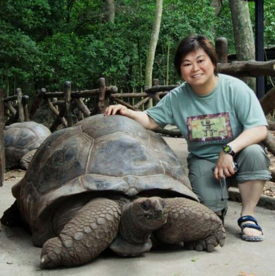 Prison Island, Sea Turtles, Rock Restaurant & Relax in Beach - Salaam Cave and the sea turtle swim