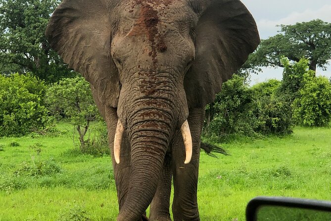 Private 3 Days 2 Nights Mikumi Adventures - Day One: Morogoro, the Road to Mikumi, and a Sunset Drive
