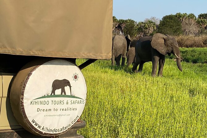 Private 3 Days 2 Nights Mikumi Adventures - The Private Format Is the Real Advantage