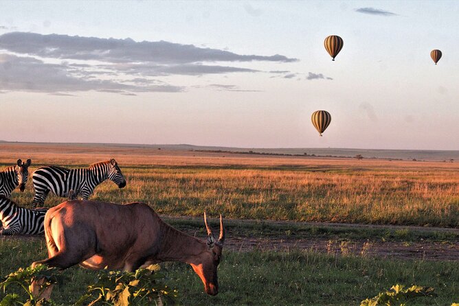 Private 4-Days Northern Circuit National Parks in Tanzania - Guides, private travel, and the human side of the trip