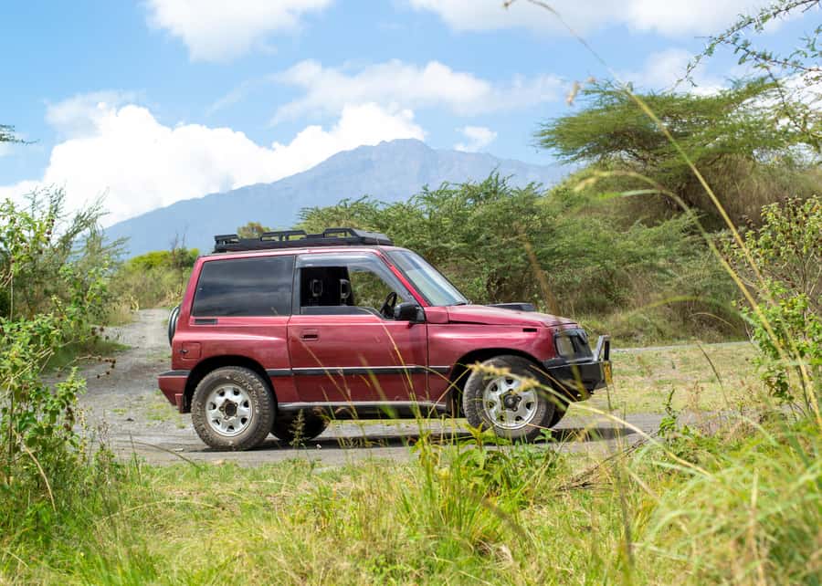Private 4x4 Vitara Safari in Arusha National Park - What the $245 Price Really Buys