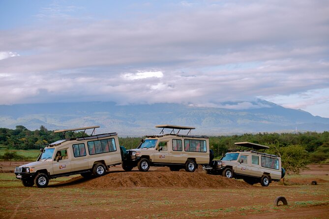 Private 5-Days Serengeti Trails with Kojuu Safaris - Day 5: A quiet morning before your flight