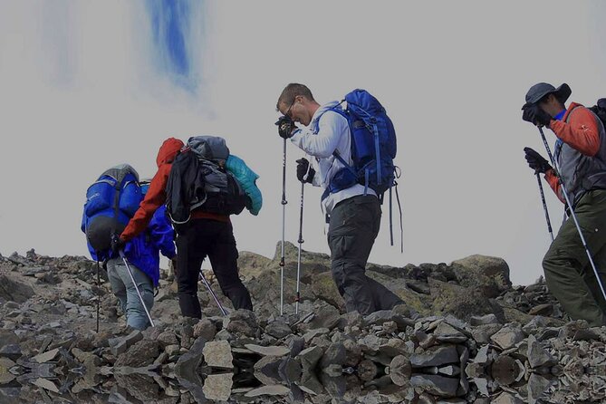 Private 6-Day Kilimanjaro Climbing via Machame route from Arusha - Day 2: Leaving the forest for Shira Camp