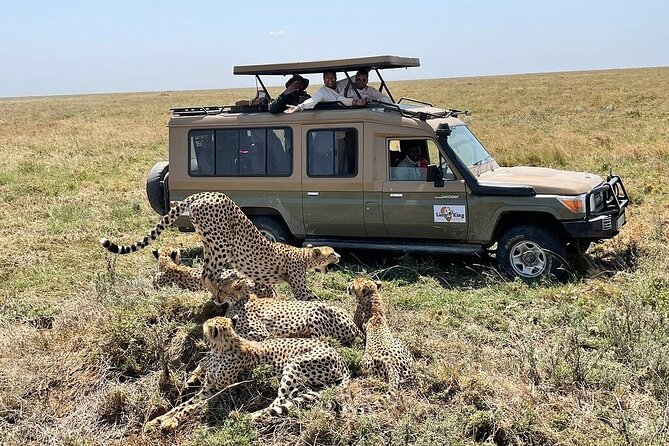 Private 6-Day Tarangire Manyara Crater and Serengeti with Mid-Range Lodges - What mid-range accommodation and full board mean here