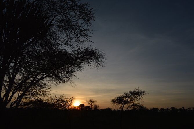Private 7-Day Tanzania Camping Safari - Days 4 and 5: Give the Serengeti enough time