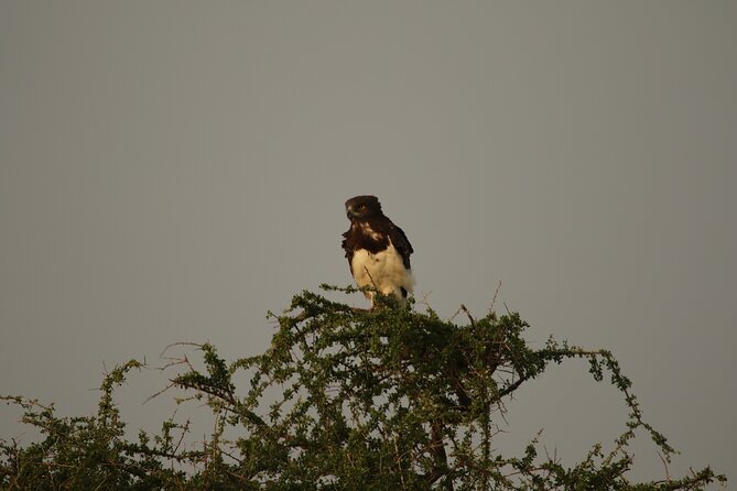 Private 7-Day Tanzania Camping Safari - Day 2: Lake Manyara and the Rift Valley wall