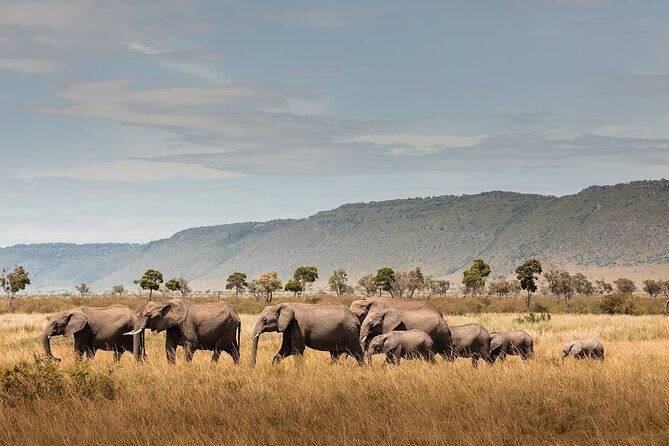 Private 7 Days Classic Safari Tour in Tanzania - Why this seven-day route works