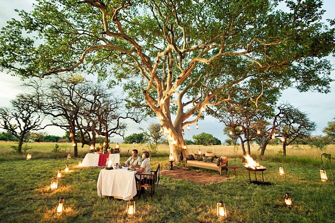 Private 7 Days Classic Safari Tour in Tanzania - Day 2: Baobabs and elephants in Tarangire