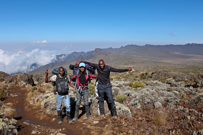 Private 8 day Northern Circuit Kilimanjaro Climb - Day 1: Londorossi Gate to Mti Mkubwa Camp