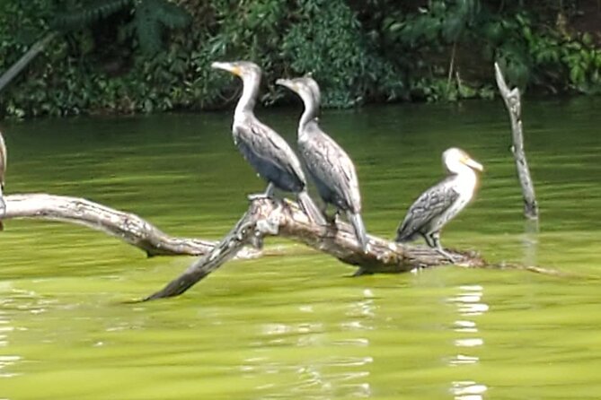 Private Canoe or Hike Tour on Lake Duluti - Starting at The Small Things in Nkoaranga