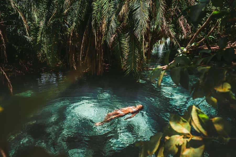 Private Chemka/Kikuletwa hotsprings with lunch & drinks - Key points at a glance