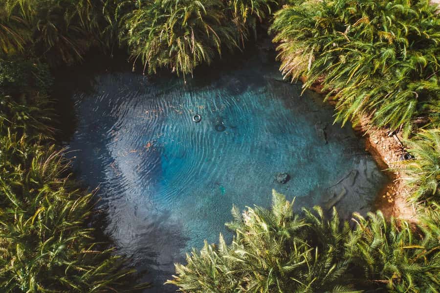 Private Chemka/Kikuletwa hotsprings with lunch & drinks - Why Chemka feels so different from the surrounding country