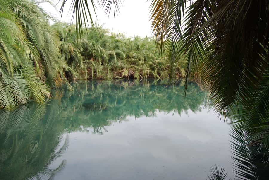 Private Chemka/Kikuletwa hotsprings with lunch & drinks - Why an early start makes a real difference