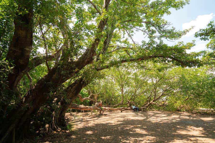 Private Chemka/Kikuletwa hotsprings with lunch & drinks - The guide and the private-group advantage