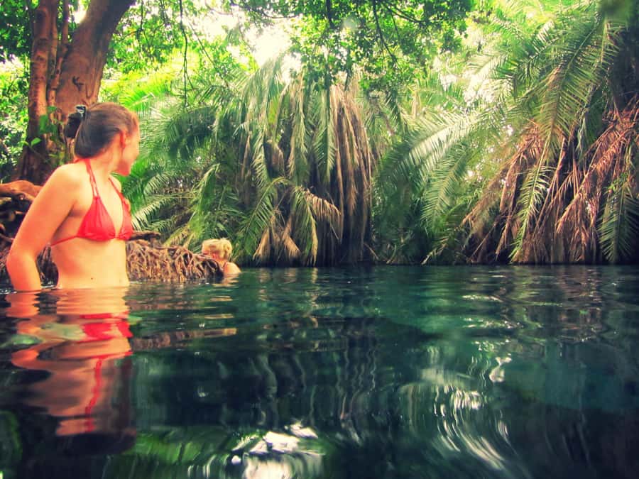 Private Chemka/Kikuletwa hotsprings with lunch & drinks - Who will enjoy this day most