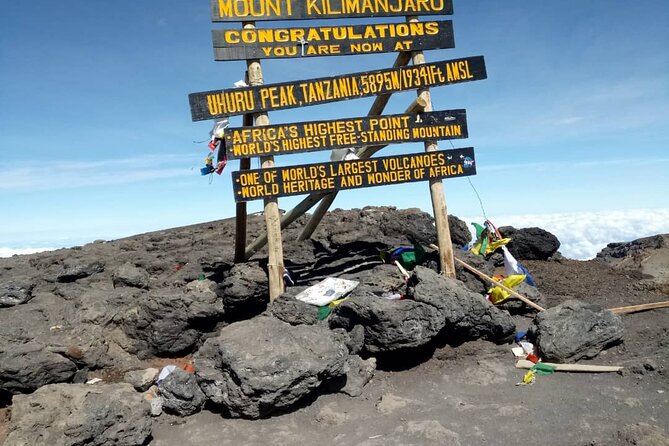 Private Day Tour and Hike in Kilimanjaro National Park - Key points before you book