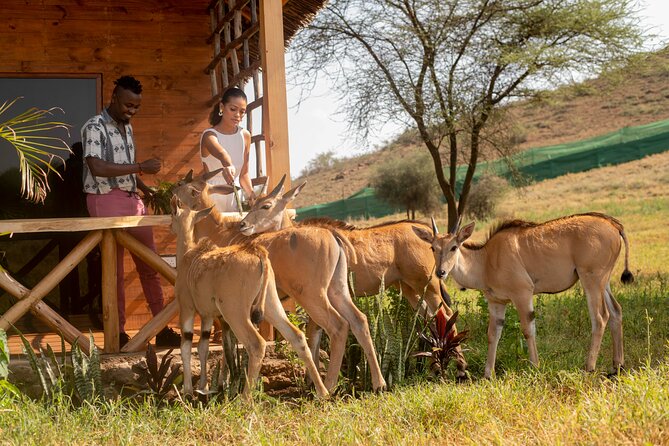 Private Day Tour in Serval Wildlife and Kikuletwa Hot Spring - Two Arusha-area sights in one private day