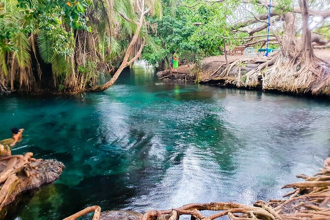Private Day Tour in Serval Wildlife and Kikuletwa Hot Spring - What the $300 price really covers