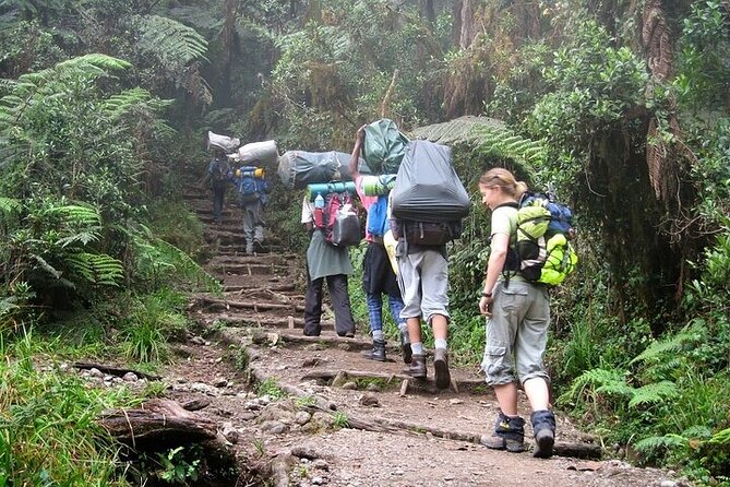 Private Day Tour Kilimanjaro Hike - The descent to the main gate