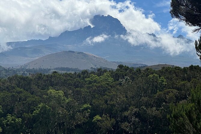 Private Day Tour Kilimanjaro Hike - How difficult is this day hike?