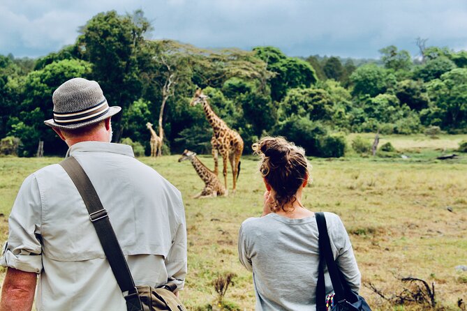 Private Day Trip to Arusha National Park with a Walking Safari - Key points to know before you book