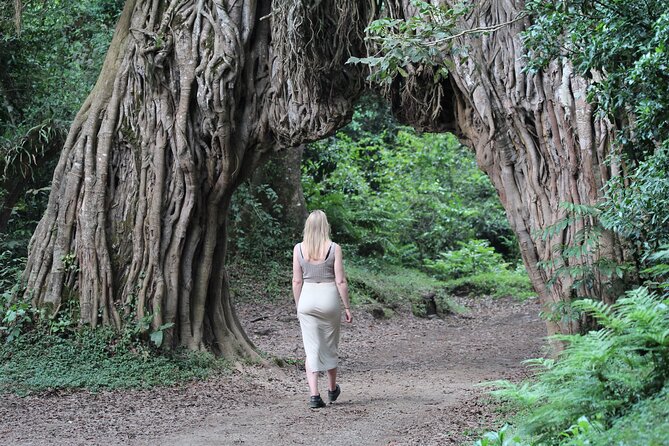 Private Day Trip to Arusha National Park with a Walking Safari - The private format and the role of the guide