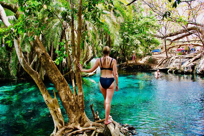Private Day Trip to Kikuletwa Hot Springs in Kilimanjaro - What happens after the 9:00 am pickup