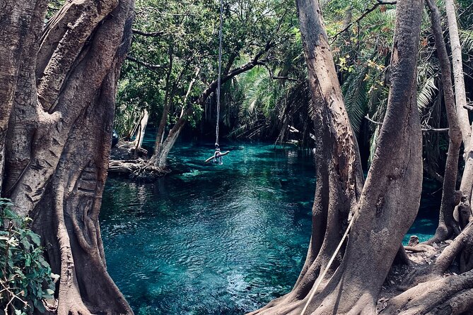 Private Day Trip to Kikuletwa Hot Springs in Kilimanjaro - Is $150 per person a fair price?