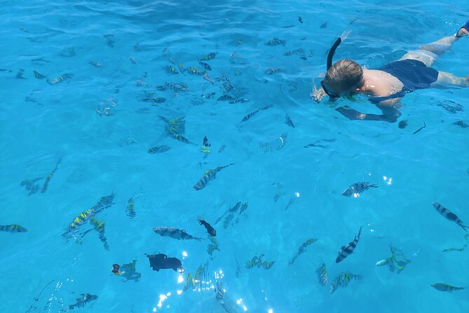 Private Dolphin Tour and Snorkeling at Mnemba Island reef - Snorkeling at Mnemba Island Reef